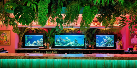 The environment is diverse